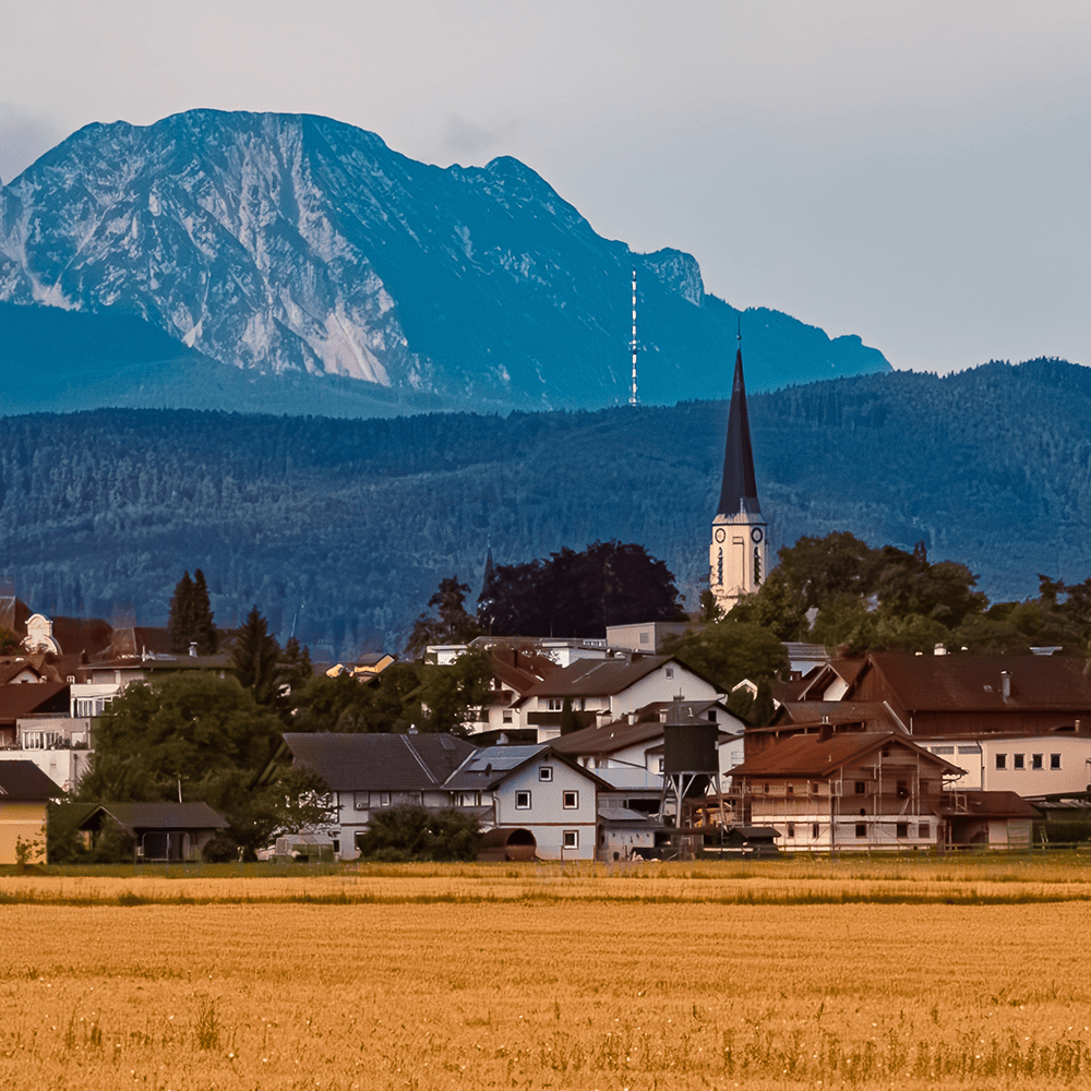 shutterstock_2361125415