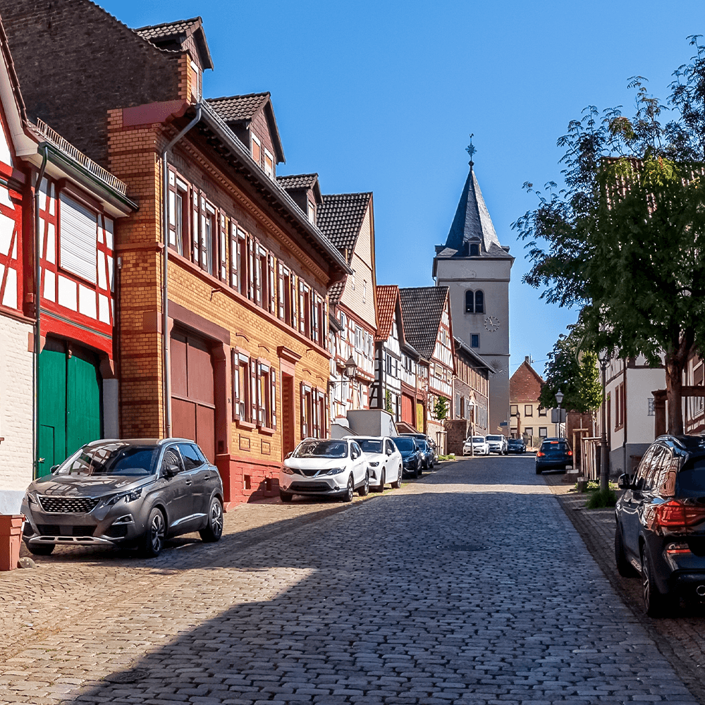 shutterstock_2677310355